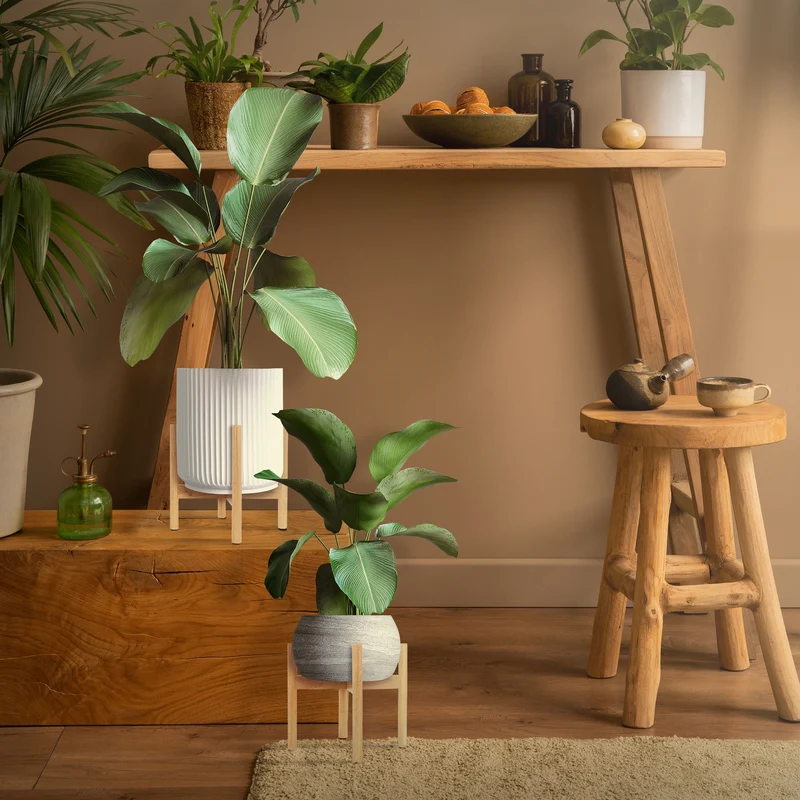 Blumenständer 25x25x30 cm Braun aus Holz ML-Design