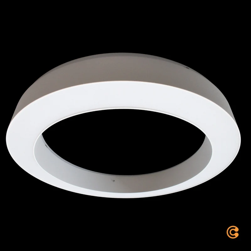B-Ware Paul Neuhaus Deckenleuchte LED PURE Lines Round Fernbedienung Schneeweiß 35 cm