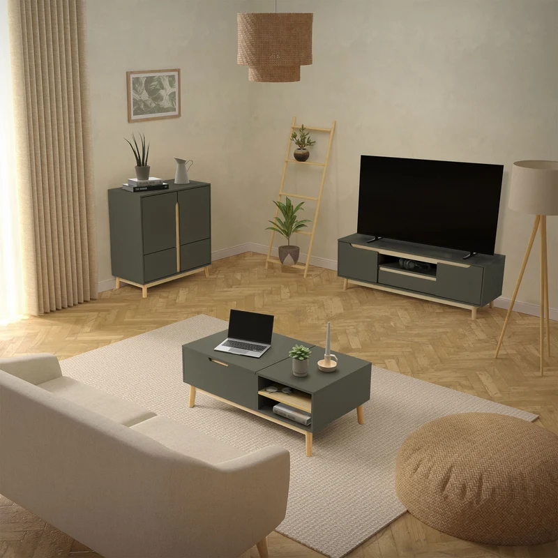 TV Lowboard Fernsehschrank 120x40 cm in mattgrün aus MDF & Kiefernholz ML-Design