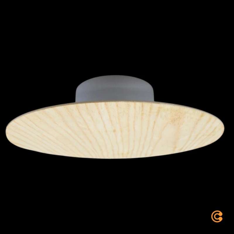 B-Ware Paul Neuhaus Wandleuchte Lampe LED Akku Holz Fernbedienung Puntua Holz Ø 25 cm