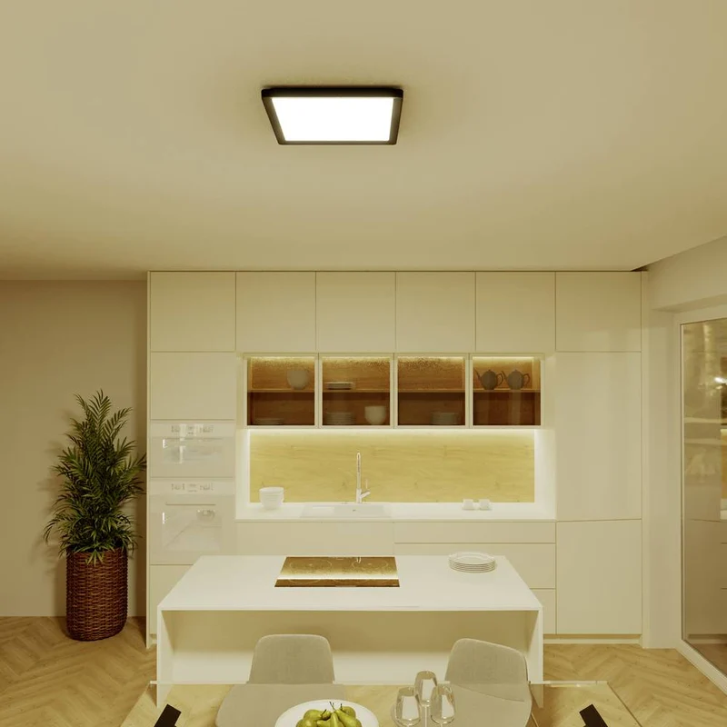 B-Ware Philips LED Panel Panelleuchte SceneSwitch Schwarz Warmweiß quadratisch 12W 30cm
