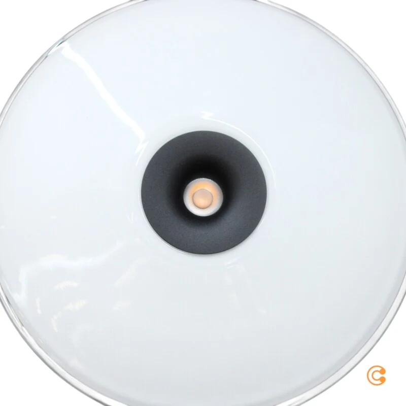 B-Ware Paul Neuhaus Deckenlampe Deckenleuchte LED Elipsa weiß schwarz Glas Eisen Ø 35cm