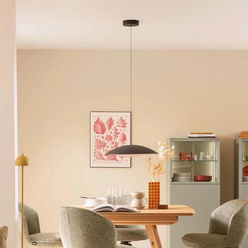B-Ware SCHÖNER WOHNEN-Kollektion Hängeleuchte LENTE LED Pendelleuchte dimmbar schwarz