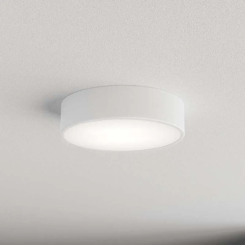 B-Ware Deckenleuchte Cleo LED Lampe dimmbar Stahl Glas weiß Ø30cm IP20 E27 2-flammig