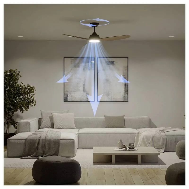 B-Ware Philips LED Deckenventilator Olas 35W Dimmbar mit Fernbedienung schwarz braun