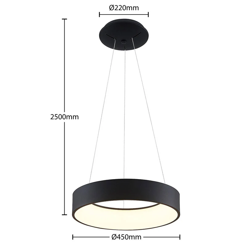 B-Ware Arcchio Pendelleuchte Hängelampe LED Aleksi schwarz Eisen Kunststoff dimmbar877