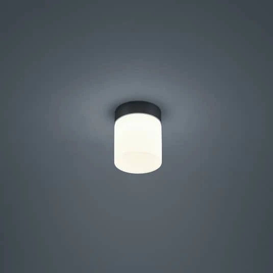 B-Ware Helestra Deckenleuchte Lampe LED Zylinder schwarz Opalglas Stahl warmweiss