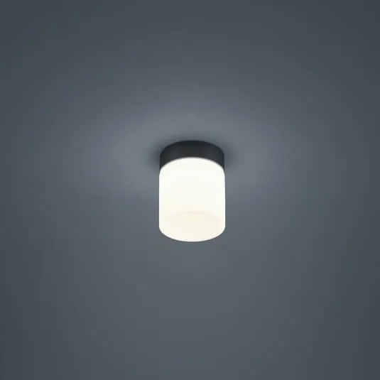 B-Ware Helestra Deckenleuchte Lampe LED Zylinder schwarz Opalglas Stahl warmweiss