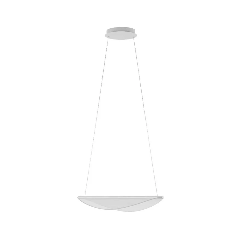 B-Ware Diphy_icon