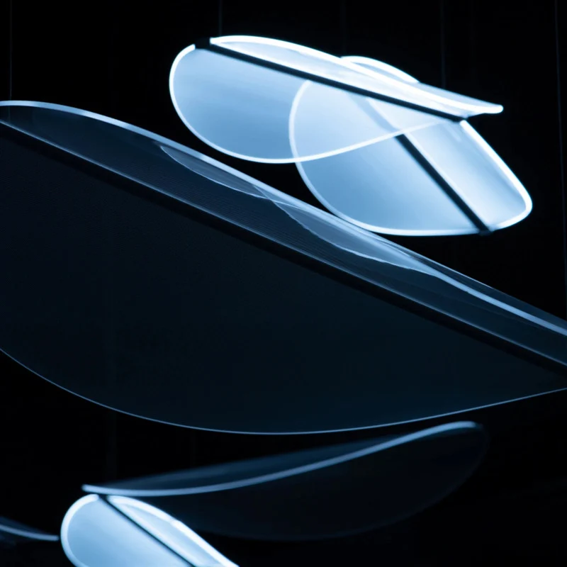 B-Ware Diphy_icon